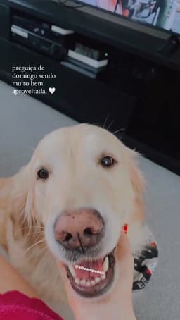 Story de 18/07